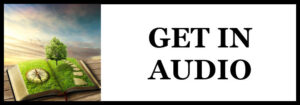 Buy Now: Get in Audio