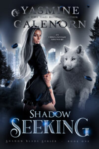 Book Cover: Shadow Seeking: An Urban Fantasy Adventure
