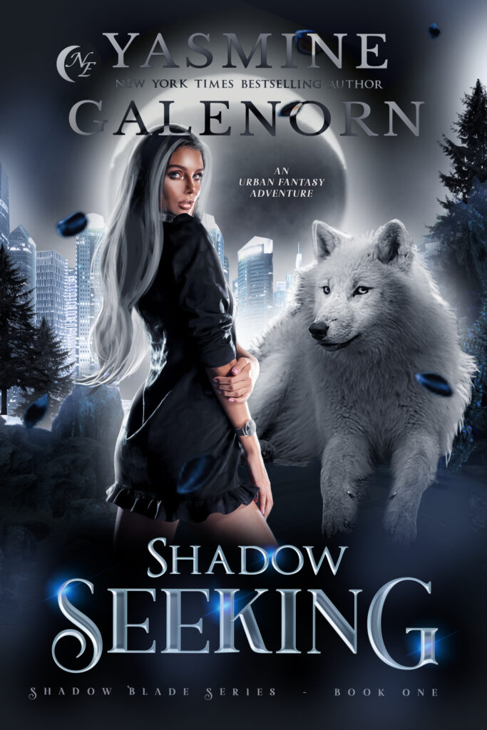 Book Cover: Shadow Seeking: An Urban Fantasy Adventure