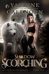 Book Cover: Shadow Scorching: An Urban Fantasy Adventure