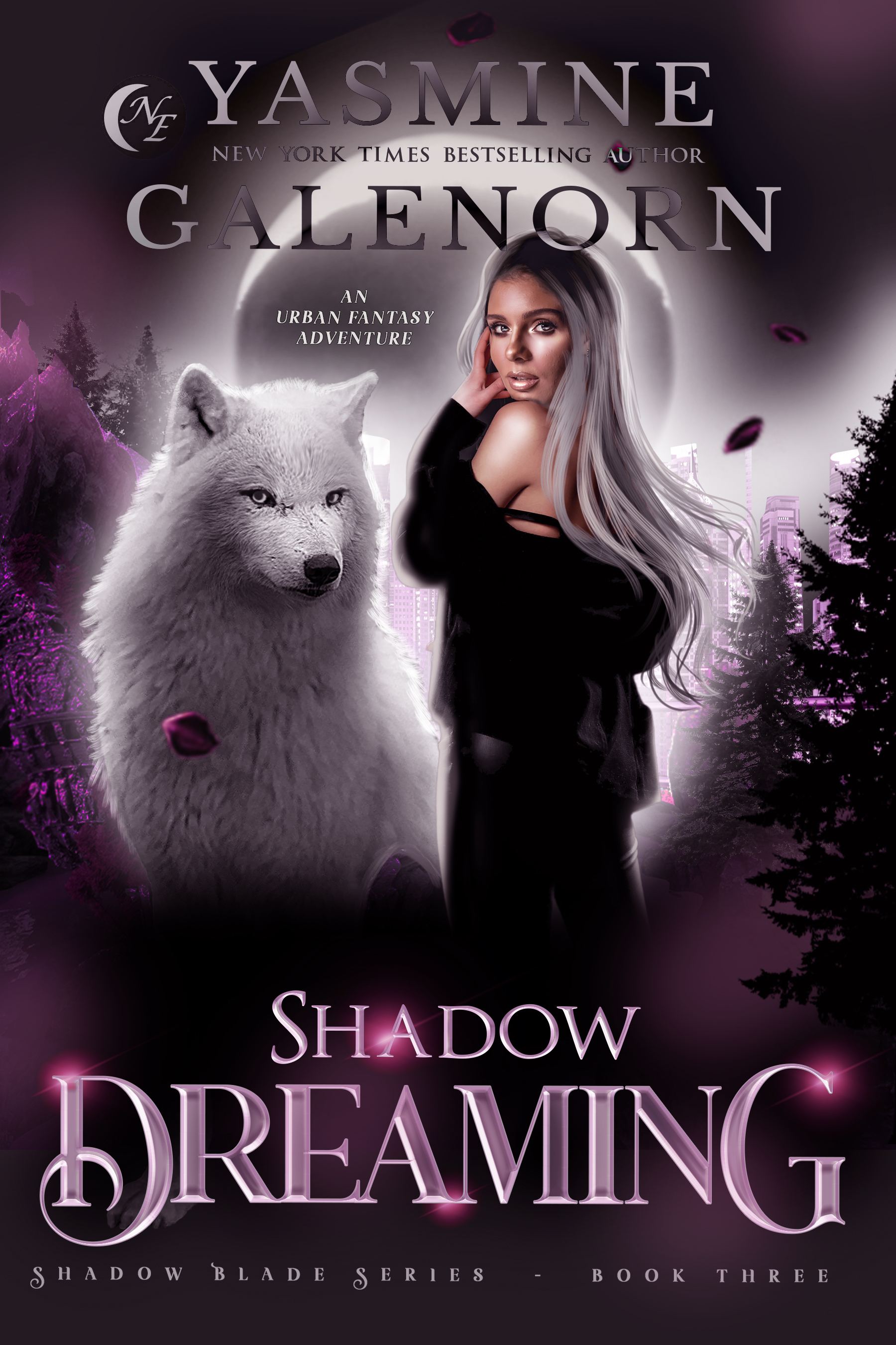 Book Cover: Shadow Dreaming: An Urban Fantasy Adventure