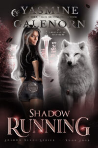 Book Cover: Shadow Running: An Urban Fantasy Adventure