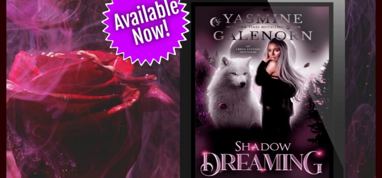 Shadow Dreaming is in the Wild! Shadow Dreaming is in the Wild!