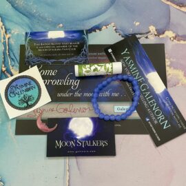 We have swag available again!