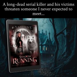 SHADOW RUNNING IS IN THE WILD!